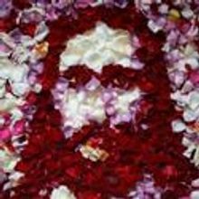 Epic Theatre Ensemble Presents SARAH RUHL'S PASSION PLAY, Events Kick Off 3/27